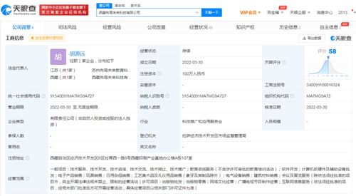 網絡文化經營 定義、挑戰(zhàn)與未來展望